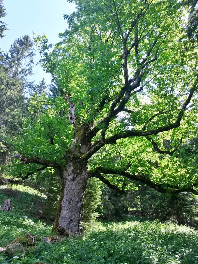 lh6.googleusercontent.com_-xbdrl-putmu_vxmaehuknxi_aaaaaaaaj0w_nmz1ixc12dy_w680-h907-no_20150606_114826_richtone_2528hdr_2529.jpg lh6.googleusercontent.com_-xbdrl-putmu_vxmaehuknxi_aaaaaaaaj0w_nmz1ixc12dy_w680-h907-no_20150606_114826_richtone_2528hdr_2529.jpg