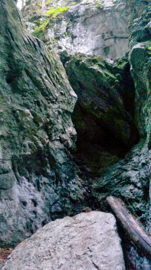 lh3.googleusercontent.com_-vvmvi6q2stc_ulaecdvlmui_aaaaaaaaq9q_wwtzqsqfvcy_w487-h866-no_20131005_084015.jpg lh3.googleusercontent.com_-vvmvi6q2stc_ulaecdvlmui_aaaaaaaaq9q_wwtzqsqfvcy_w487-h866-no_20131005_084015.jpg