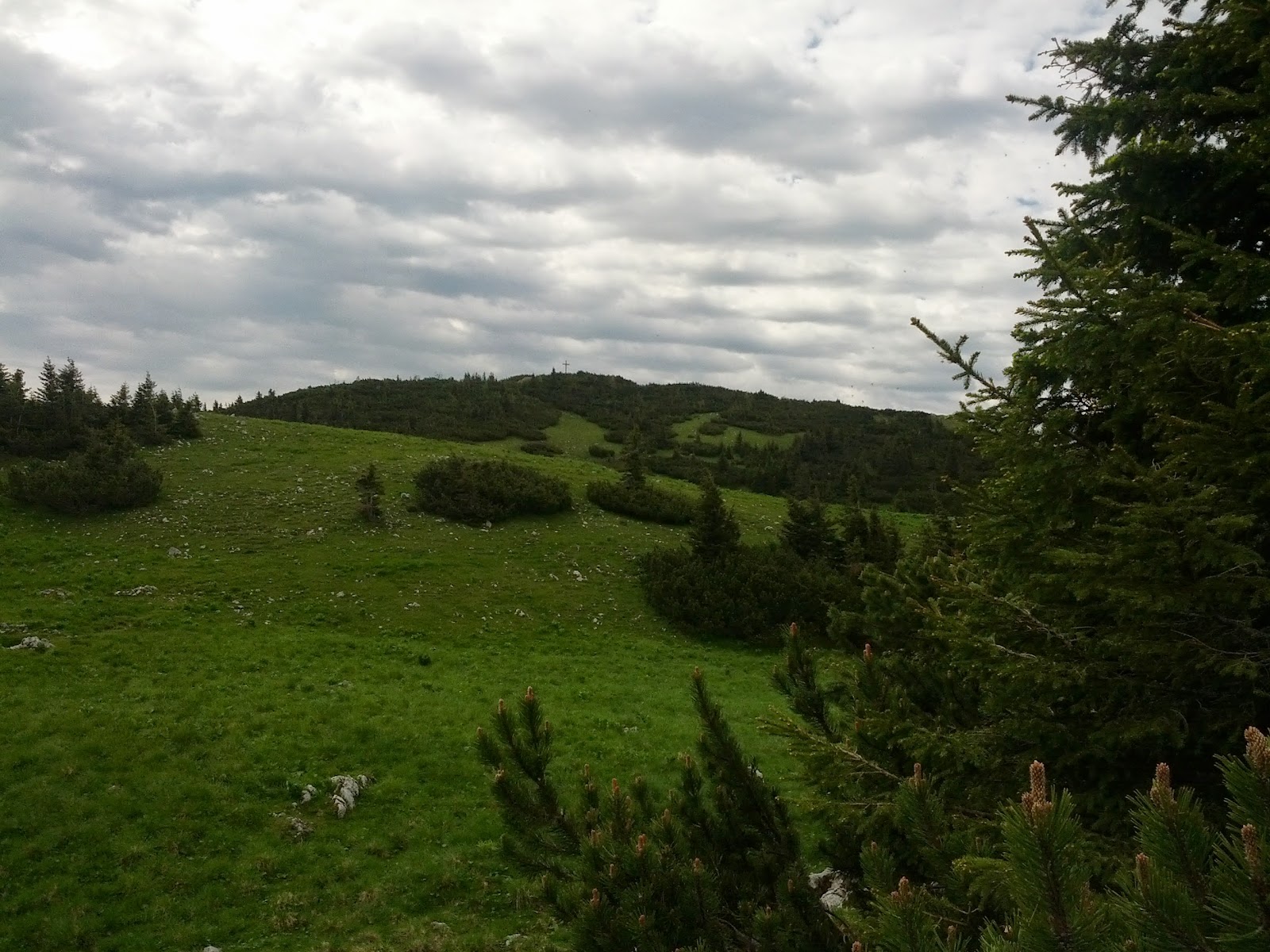 lh5.googleusercontent.com_-cru2bzks6ug_ubx4hpgg35i_aaaaaaaano4_s1cldzlrsqc_w1600-h1200-no_img_20130615_092432.jpg lh5.googleusercontent.com_-cru2bzks6ug_ubx4hpgg35i_aaaaaaaano4_s1cldzlrsqc_w1600-h1200-no_img_20130615_092432.jpg