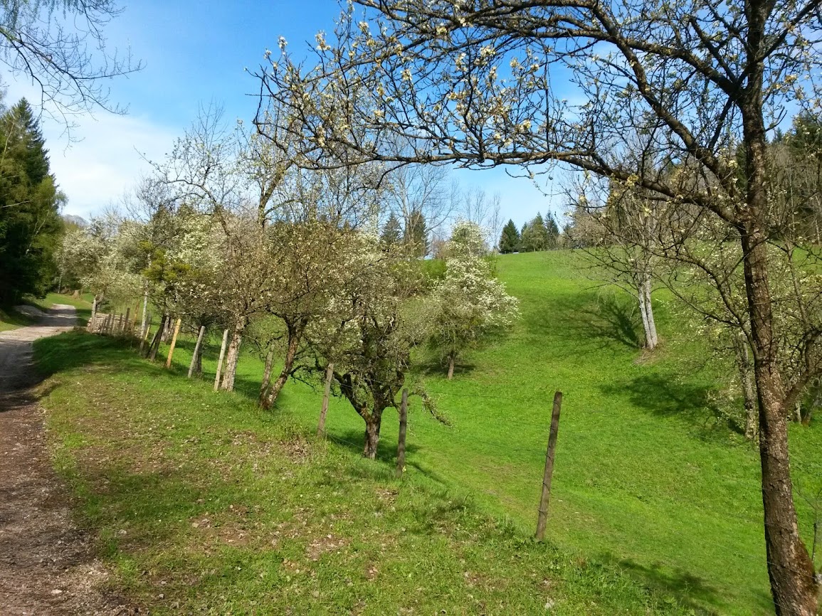 lh5.googleusercontent.com_-s4joj0nzcb0_u1vw5m0obwi_aaaaaaaaw9o_qf8fyvu9oi4_w1155-h866-no_20140421_092436.jpg lh5.googleusercontent.com_-s4joj0nzcb0_u1vw5m0obwi_aaaaaaaaw9o_qf8fyvu9oi4_w1155-h866-no_20140421_092436.jpg