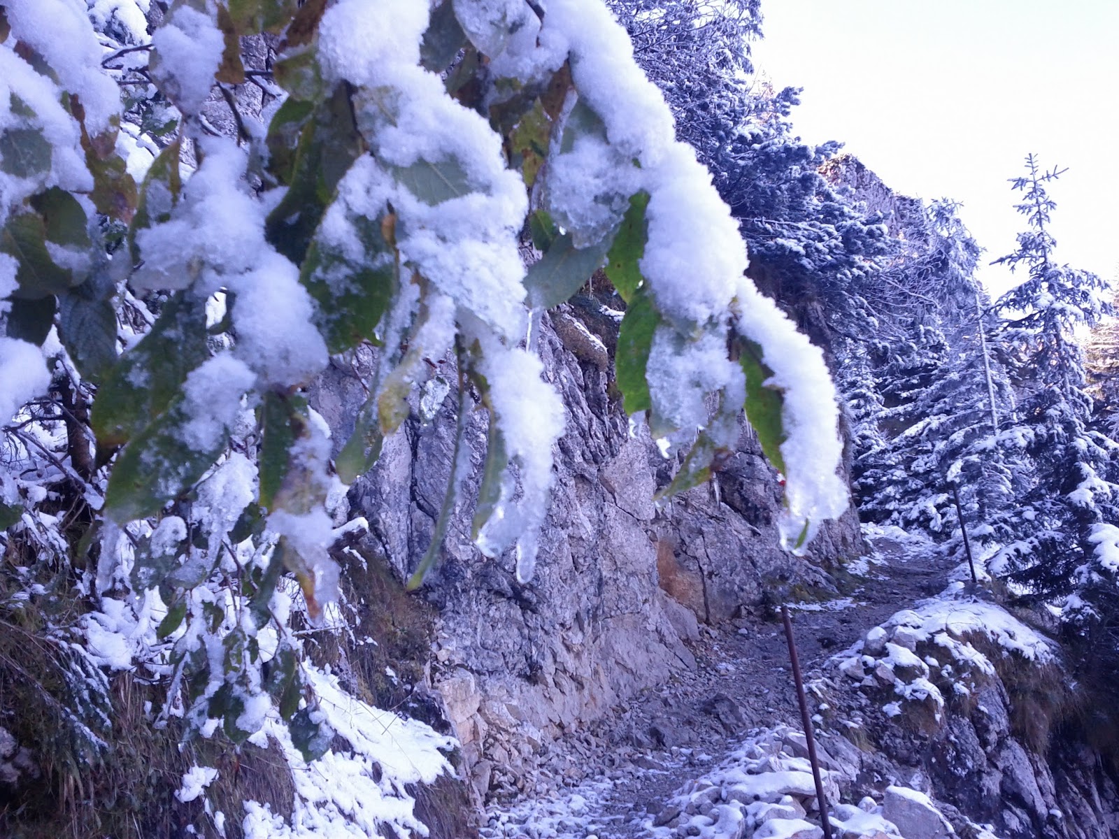 lh6.googleusercontent.com_-eu3jmo7qeoy_tpnjwuoihli_aaaaaaaabcm_totjwabh0lq_w1600-h1200-no_img_20111015_111543.jpg lh6.googleusercontent.com_-eu3jmo7qeoy_tpnjwuoihli_aaaaaaaabcm_totjwabh0lq_w1600-h1200-no_img_20111015_111543.jpg