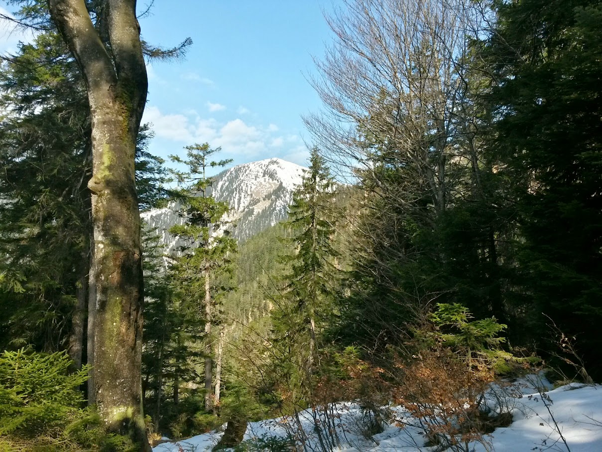 lh6.googleusercontent.com_-qanajg2b_y0_vsqtnxpflgi_aaaaaaaaivm_8vgeyrivayu_w1209-h907-no_20150411_101212_richtone_28hdr_29.jpg lh6.googleusercontent.com_-qanajg2b_y0_vsqtnxpflgi_aaaaaaaaivm_8vgeyrivayu_w1209-h907-no_20150411_101212_richtone_28hdr_29.jpg