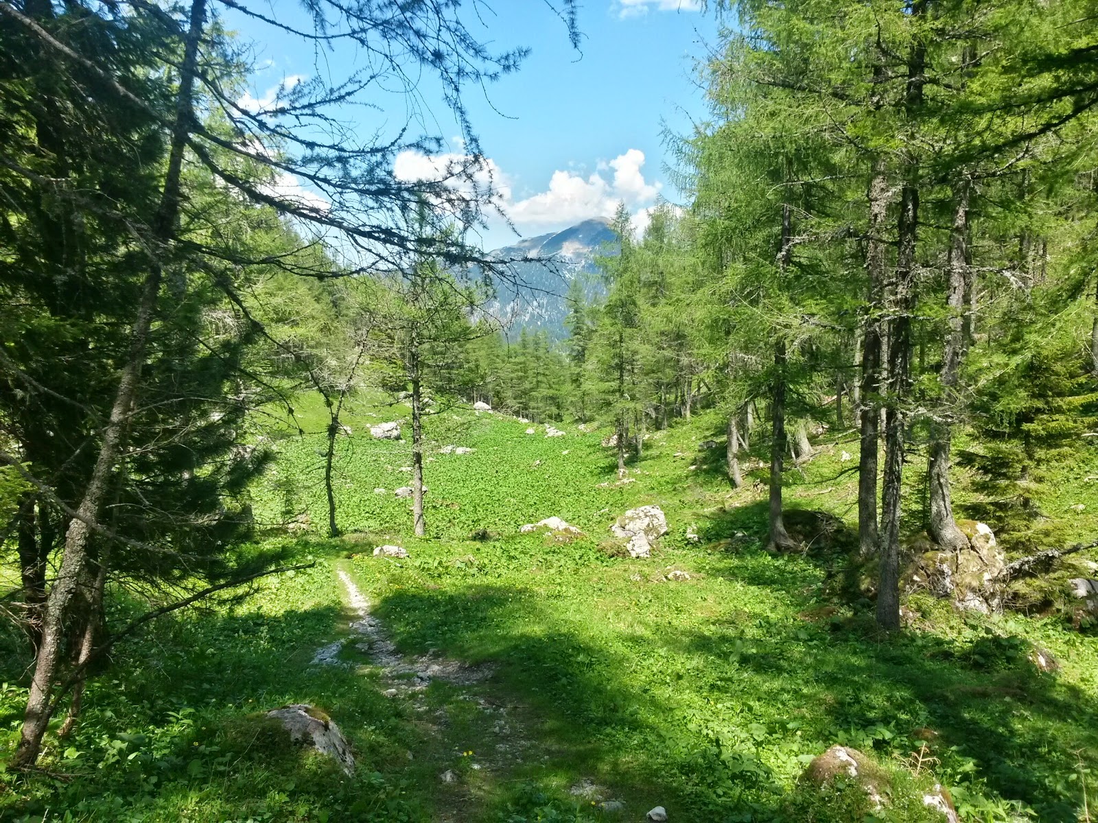 lh3.googleusercontent.com_-pi6apdfps14_u5c5cp0p3li_aaaaaaaaztw_pazhw_qyxli_w1600-h1200-no_20140610_142655_richtone_2528hdr_2529.jpg lh3.googleusercontent.com_-pi6apdfps14_u5c5cp0p3li_aaaaaaaaztw_pazhw_qyxli_w1600-h1200-no_20140610_142655_richtone_2528hdr_2529.jpg