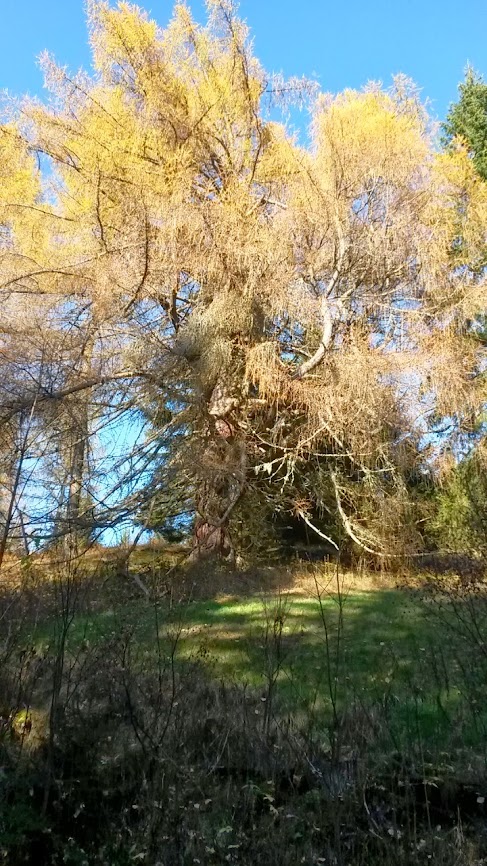 lh3.googleusercontent.com_-hfuxmbbcwve_unpb-zcszzi_aaaaaaaarpk_u5qes6bn9dk_w487-h866-no_20131101_135001.jpg lh3.googleusercontent.com_-hfuxmbbcwve_unpb-zcszzi_aaaaaaaarpk_u5qes6bn9dk_w487-h866-no_20131101_135001.jpg