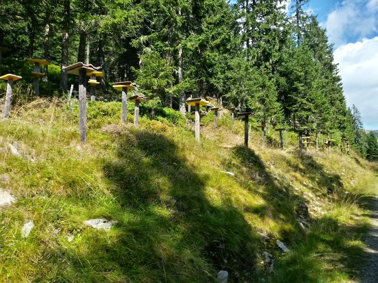 lh4.googleusercontent.com_-q1evsfauyoy_vfraq6ej9wi_aaaaaaaanzo_cpjxbkr_afa_w1209-h907-no_20150912_123715_richtone_2528hdr_2529.jpg lh4.googleusercontent.com_-q1evsfauyoy_vfraq6ej9wi_aaaaaaaanzo_cpjxbkr_afa_w1209-h907-no_20150912_123715_richtone_2528hdr_2529.jpg