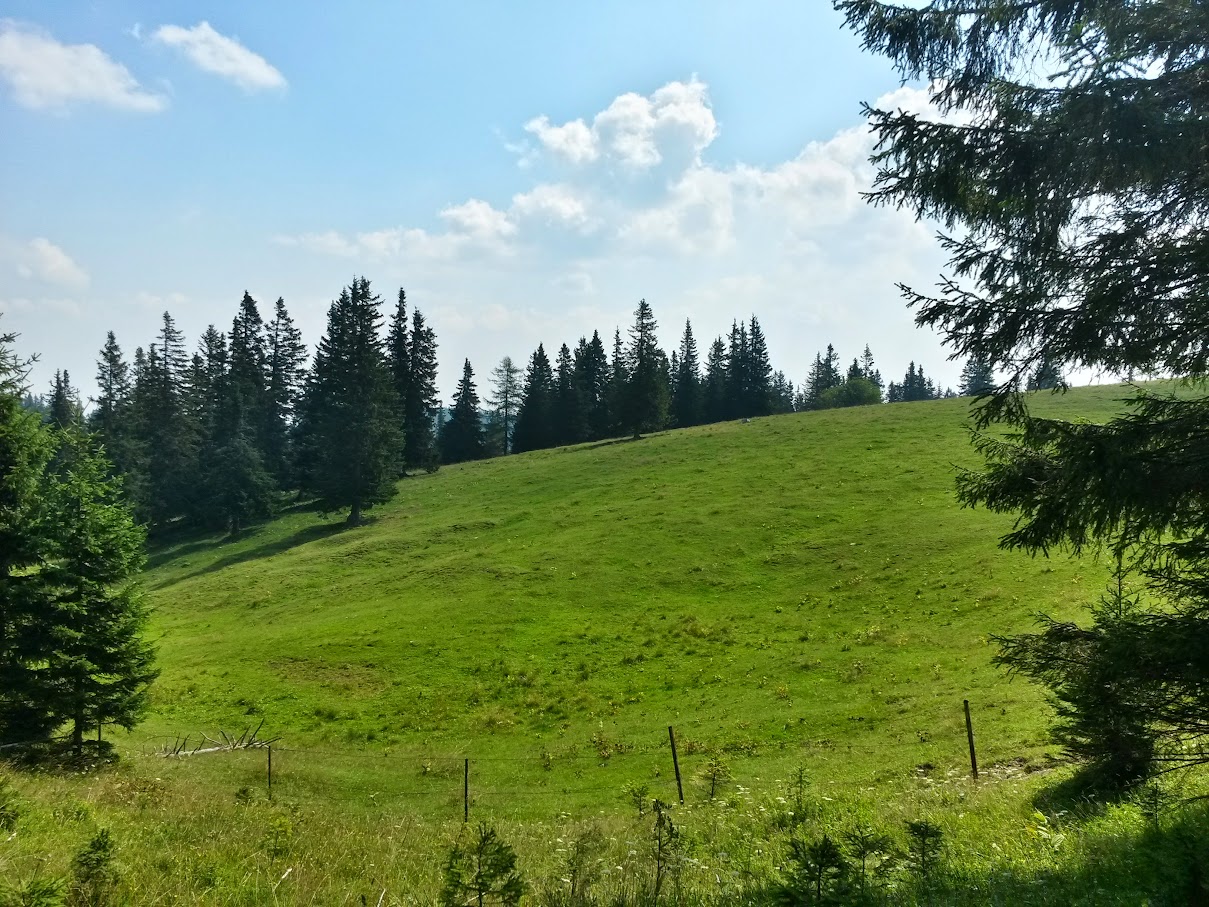 lh6.googleusercontent.com_-eor2snyaaus_vcye63tuk0i_aaaaaaaangq_tgoque-1vqs_w1209-h907-no_20150808_111552_richtone_2528hdr_2529.jpg lh6.googleusercontent.com_-eor2snyaaus_vcye63tuk0i_aaaaaaaangq_tgoque-1vqs_w1209-h907-no_20150808_111552_richtone_2528hdr_2529.jpg