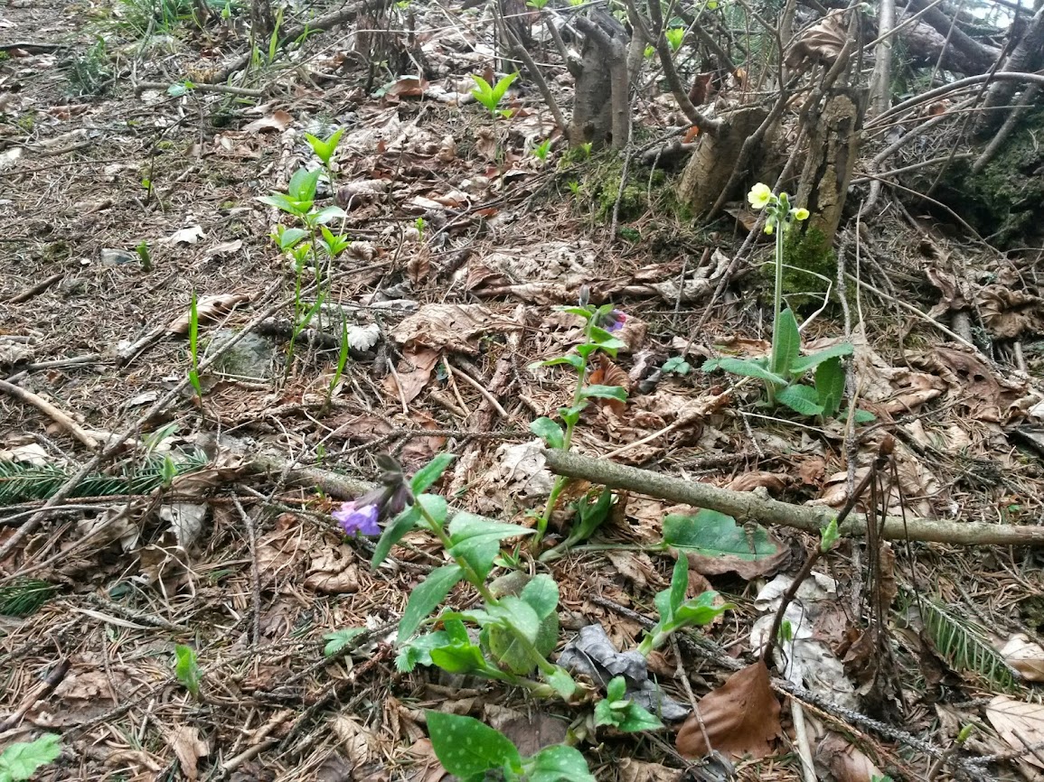 lh3.googleusercontent.com_-gbdmcfhe680_uz-ua-xfg7i_aaaaaaaawni_ewdfhbektso_w1155-h866-no_20140405_091541_richtone_2528hdr_2529.jpg lh3.googleusercontent.com_-gbdmcfhe680_uz-ua-xfg7i_aaaaaaaawni_ewdfhbektso_w1155-h866-no_20140405_091541_richtone_2528hdr_2529.jpg