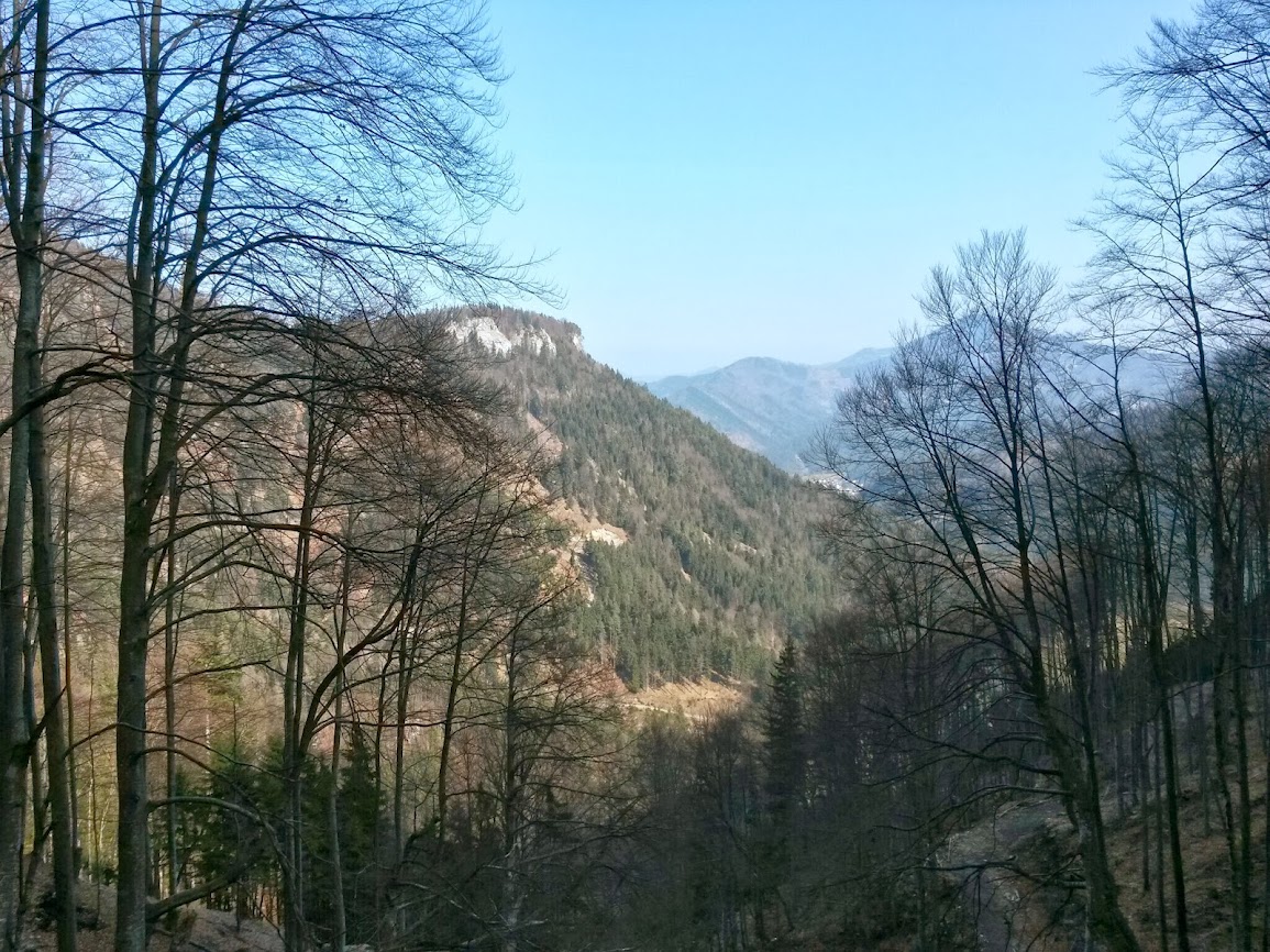 lh5.googleusercontent.com_-2q5otkbdmlm_uxsvuocmfmi_aaaaaaaavr8_eamj6rcyonq_w1155-h866-no_20140308_130338_richtone_2528hdr_2529.jpg lh5.googleusercontent.com_-2q5otkbdmlm_uxsvuocmfmi_aaaaaaaavr8_eamj6rcyonq_w1155-h866-no_20140308_130338_richtone_2528hdr_2529.jpg