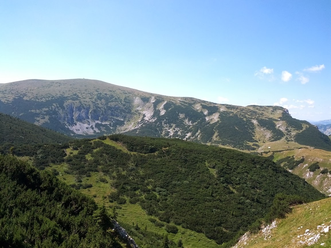 lh6.googleusercontent.com_-xgns_f-wcve_ug-idog33ri_aaaaaaaapt4_jvgxjd1bxhc_w1155-h866-no_img_20130817_115858.jpg lh6.googleusercontent.com_-xgns_f-wcve_ug-idog33ri_aaaaaaaapt4_jvgxjd1bxhc_w1155-h866-no_img_20130817_115858.jpg