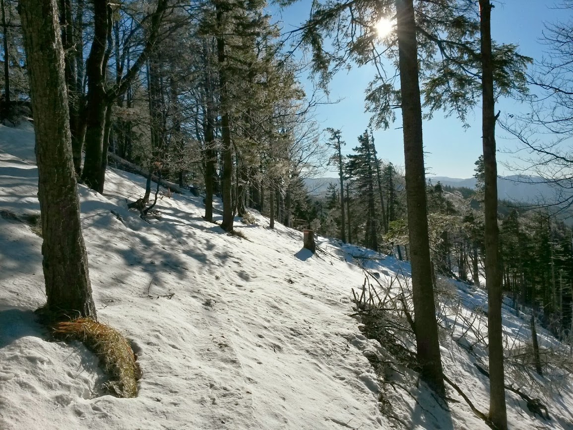 lh3.googleusercontent.com_-w41gris4ywa_uq3wpzsrhmi_aaaaaaaatim_yuoymai_qgk_w1155-h866-no_20131215_112608_richtone_2528hdr_2529.jpg lh3.googleusercontent.com_-w41gris4ywa_uq3wpzsrhmi_aaaaaaaatim_yuoymai_qgk_w1155-h866-no_20131215_112608_richtone_2528hdr_2529.jpg