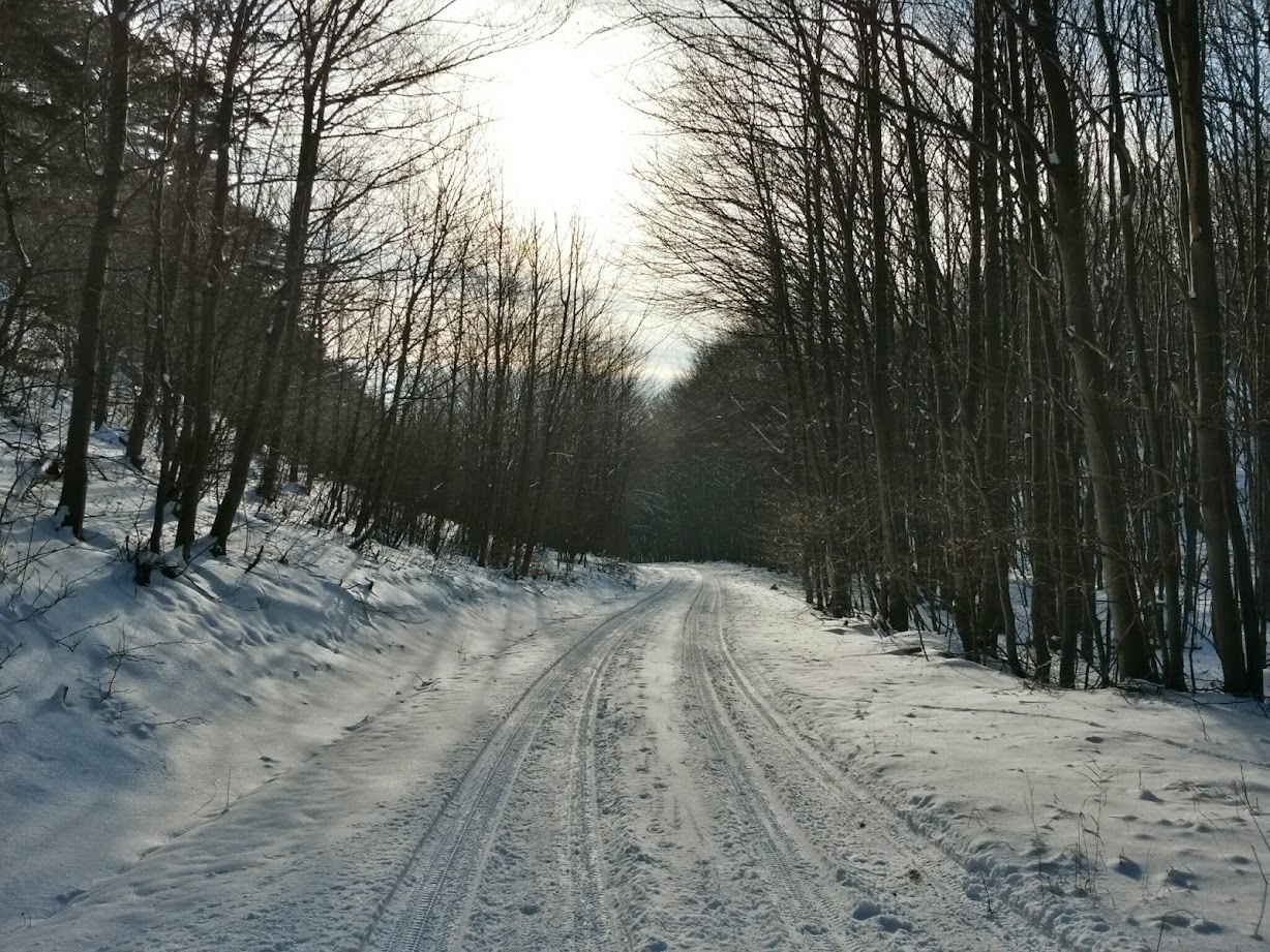 lh4.googleusercontent.com_-yu6hkp43vo4_vkquw9nw41i_aaaaaaaagnq_ijdresmtmcq_w1228-h921-no_20141231_130132_richtone_28hdr_29.jpg lh4.googleusercontent.com_-yu6hkp43vo4_vkquw9nw41i_aaaaaaaagnq_ijdresmtmcq_w1228-h921-no_20141231_130132_richtone_28hdr_29.jpg