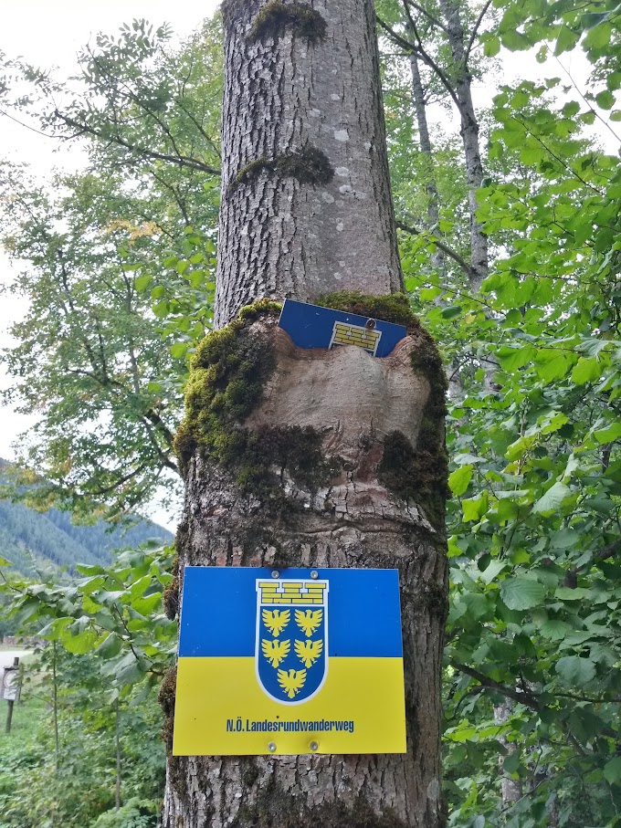 lh4.googleusercontent.com_-oymkxxhbafo_vf15qhmketi_aaaaaaaan5k_yyarf62t2ki_w680-h907-no_20150919_144343_richtone_2528hdr_2529.jpg lh4.googleusercontent.com_-oymkxxhbafo_vf15qhmketi_aaaaaaaan5k_yyarf62t2ki_w680-h907-no_20150919_144343_richtone_2528hdr_2529.jpg