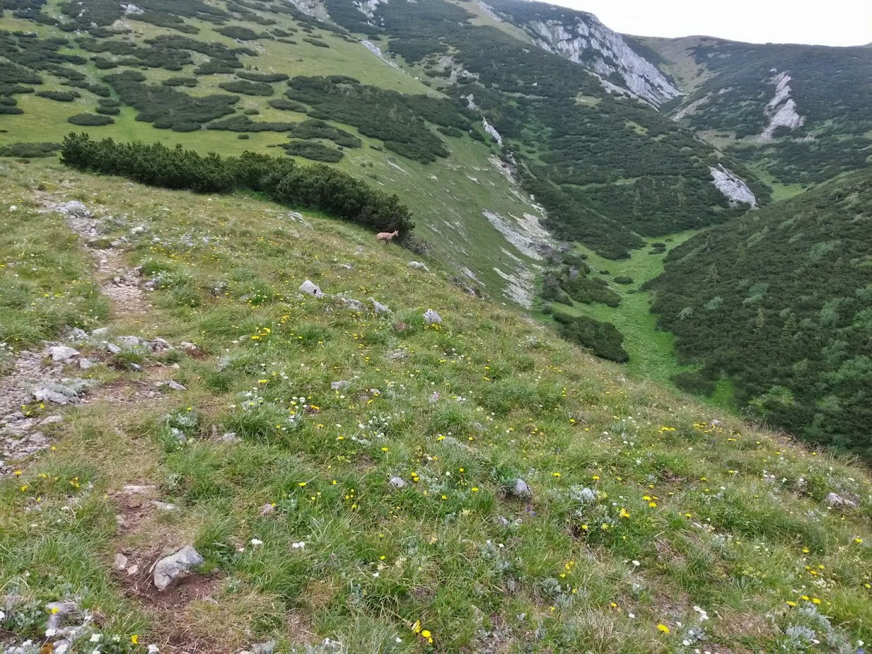 lh3.googleusercontent.com_-ax0t0rdrjuu_u7f9l_eypai_aaaaaaaaa_e_fo-00fsoe2q_w1239-h929-no_20140705_104345_richtone_2528hdr_2529.jpg lh3.googleusercontent.com_-ax0t0rdrjuu_u7f9l_eypai_aaaaaaaaa_e_fo-00fsoe2q_w1239-h929-no_20140705_104345_richtone_2528hdr_2529.jpg