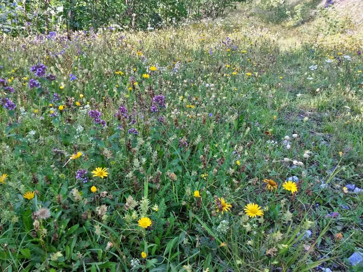 lh3.googleusercontent.com_-fxc8jxb8zec_u9ozrw4ka8i_aaaaaaaabv0_oahbpidajjq_w1228-h921-no_20140726_081918_richtone_2528hdr_2529.jpg lh3.googleusercontent.com_-fxc8jxb8zec_u9ozrw4ka8i_aaaaaaaabv0_oahbpidajjq_w1228-h921-no_20140726_081918_richtone_2528hdr_2529.jpg