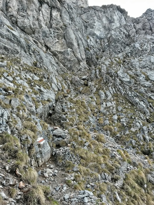 lh4.googleusercontent.com_-jj5w7q9he8a_u2i-wf6f4bi_aaaaaaaaxqi_annb9piv29c_w650-h866-no_20140501_094715_richtone_2528hdr_2529.jpg lh4.googleusercontent.com_-jj5w7q9he8a_u2i-wf6f4bi_aaaaaaaaxqi_annb9piv29c_w650-h866-no_20140501_094715_richtone_2528hdr_2529.jpg