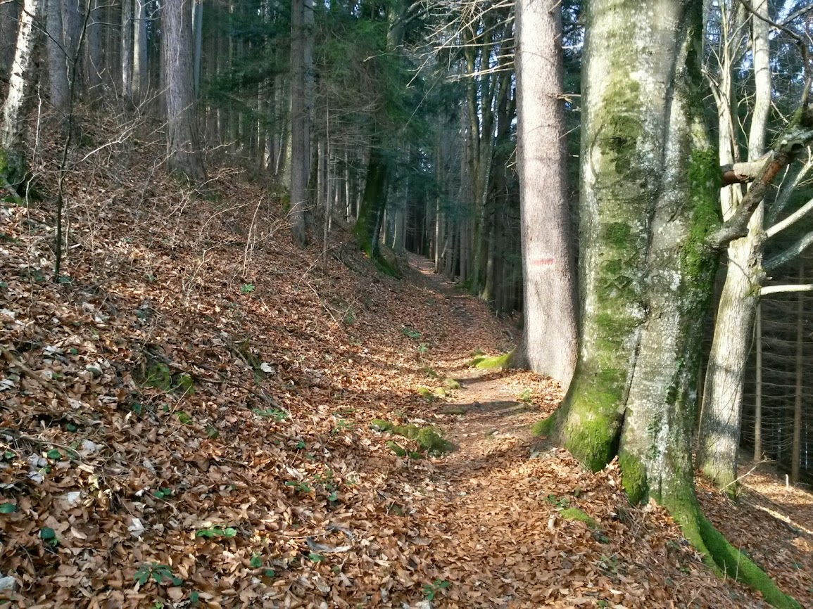 lh4.googleusercontent.com_-t4eripcjxsk_uxrxyaxsxli_aaaaaaaavno_f4otwfwm9fo_w1155-h866-no_20140308_093927_richtone_2528hdr_2529.jpg lh4.googleusercontent.com_-t4eripcjxsk_uxrxyaxsxli_aaaaaaaavno_f4otwfwm9fo_w1155-h866-no_20140308_093927_richtone_2528hdr_2529.jpg