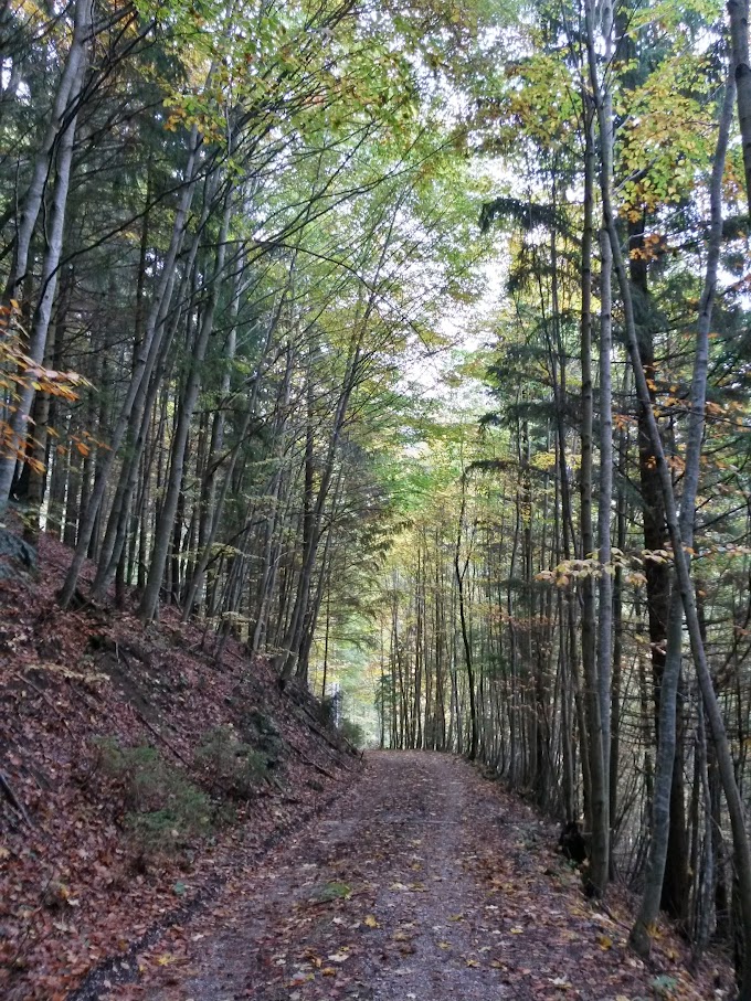 lh6.googleusercontent.com_-xbgaxboxi6s_vhkeo-1gaki_aaaaaaaaoso_p9-til_nk1o_w680-h907-no_20151010_115705_richtone_2528hdr_2529.jpg lh6.googleusercontent.com_-xbgaxboxi6s_vhkeo-1gaki_aaaaaaaaoso_p9-til_nk1o_w680-h907-no_20151010_115705_richtone_2528hdr_2529.jpg