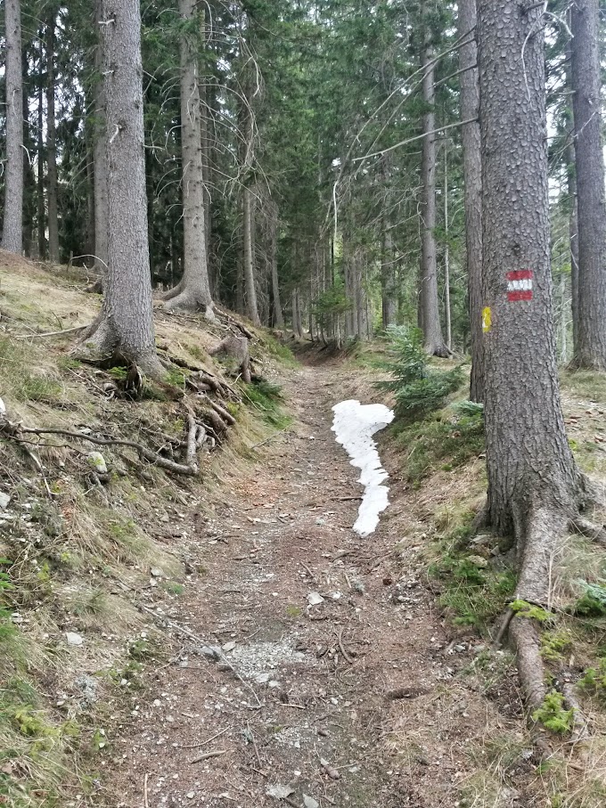 lh4.googleusercontent.com_-p8g5m1caqki_vtku8q4fpei_aaaaaaaaij0_gcri0uyjf0a_w680-h907-no_20150418_105320_richtone_28hdr_29.jpg lh4.googleusercontent.com_-p8g5m1caqki_vtku8q4fpei_aaaaaaaaij0_gcri0uyjf0a_w680-h907-no_20150418_105320_richtone_28hdr_29.jpg