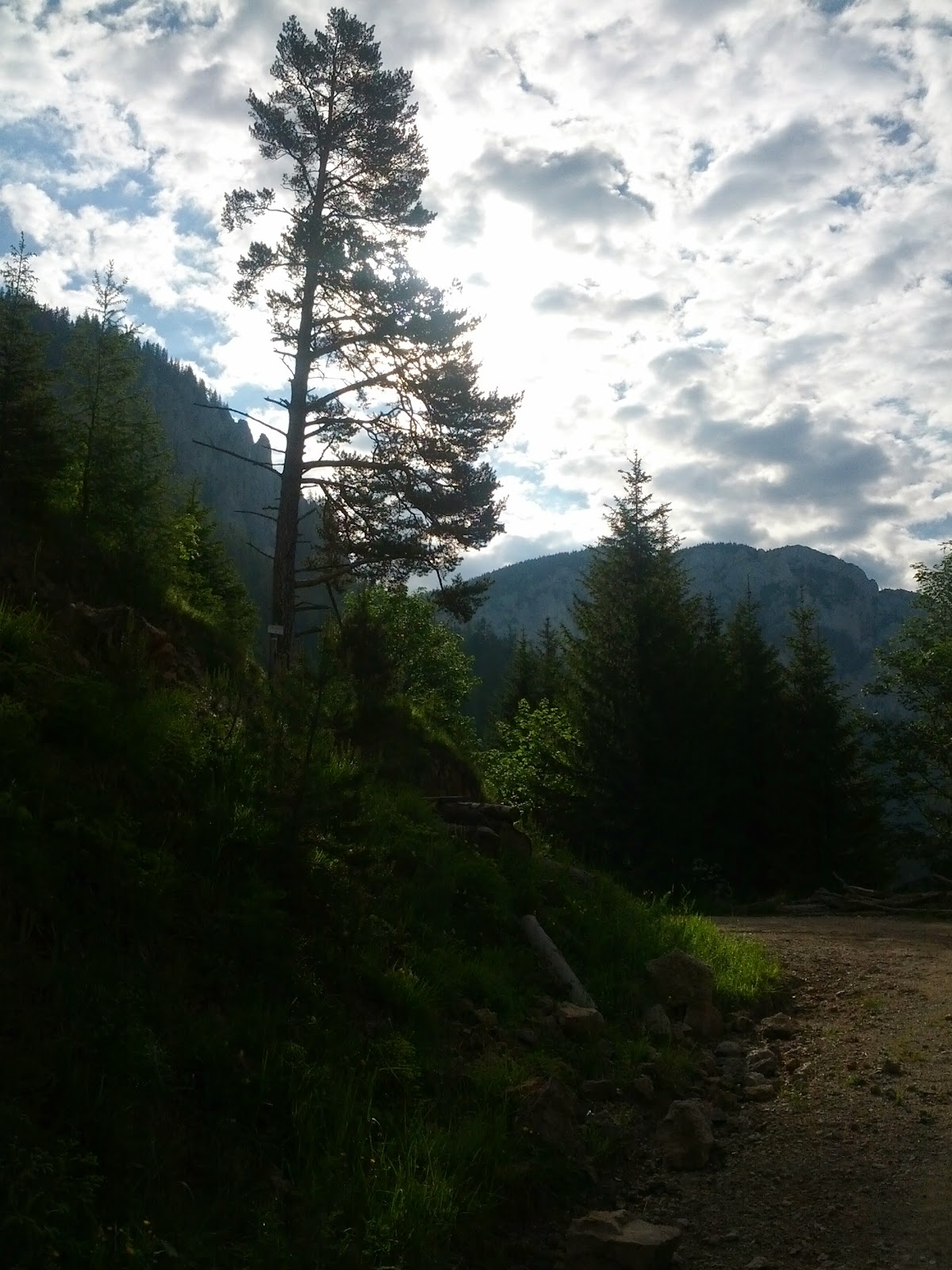 lh6.googleusercontent.com_-xmor8fw9ois_ubx2e7s85bi_aaaaaaaanme_82ds0cxxomc_w1200-h1600-no_img_20130615_081327.jpg lh6.googleusercontent.com_-xmor8fw9ois_ubx2e7s85bi_aaaaaaaanme_82ds0cxxomc_w1200-h1600-no_img_20130615_081327.jpg