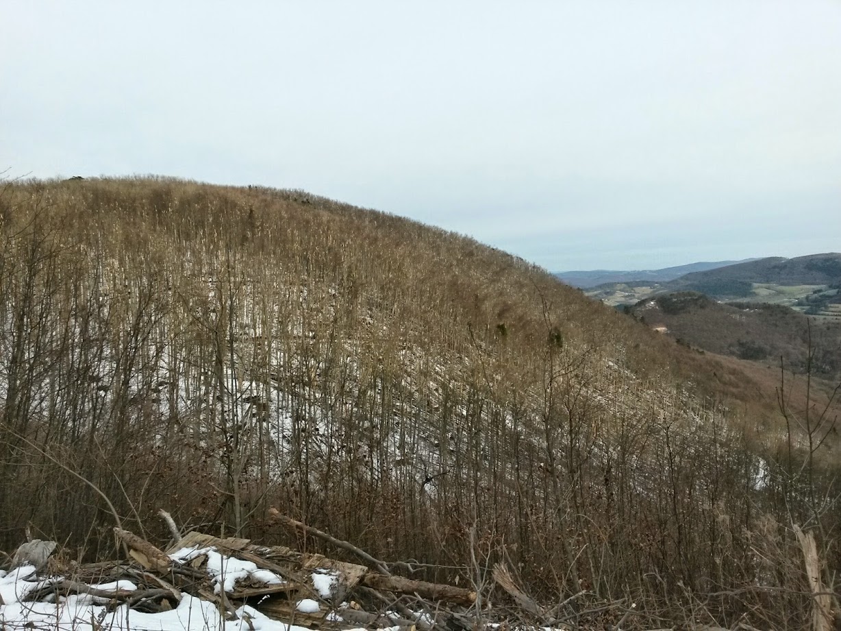 lh5.googleusercontent.com_-2kzebbq3oqm_vkgal-n7yqi_aaaaaaaaguu_cbfhanofcke_w1228-h921-no_20150103_123256_richtone_28hdr_29.jpg lh5.googleusercontent.com_-2kzebbq3oqm_vkgal-n7yqi_aaaaaaaaguu_cbfhanofcke_w1228-h921-no_20150103_123256_richtone_28hdr_29.jpg