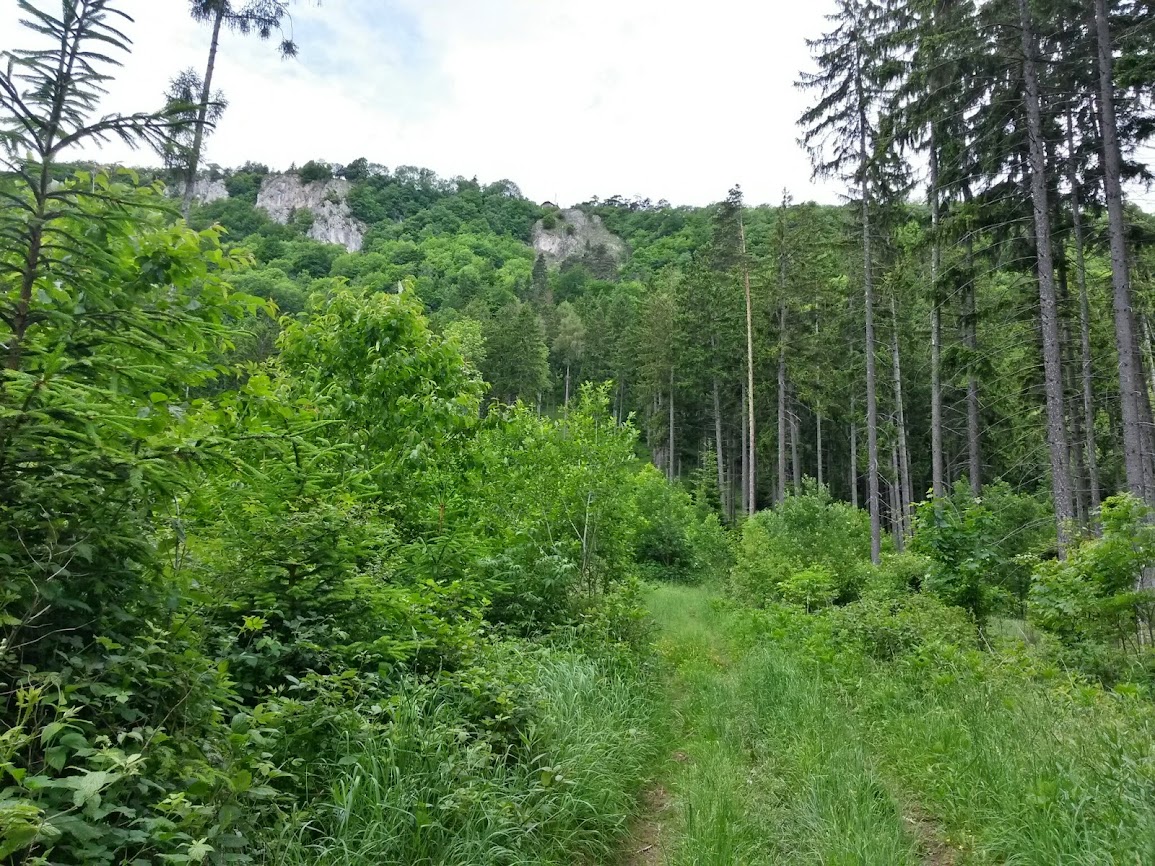 lh4.googleusercontent.com_-ulpusax_jsw_u4chxw6sixi_aaaaaaaaybk_tymtsvk-kmq_w1155-h866-no_20140529_101912_richtone_2528hdr_2529.jpg lh4.googleusercontent.com_-ulpusax_jsw_u4chxw6sixi_aaaaaaaaybk_tymtsvk-kmq_w1155-h866-no_20140529_101912_richtone_2528hdr_2529.jpg