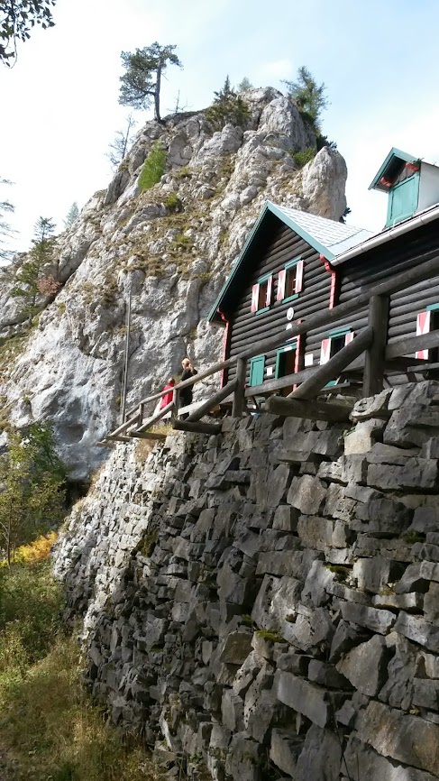 lh4.googleusercontent.com_-bwaiz_w-w1u_ulafukvvcvi_aaaaaaaaq5k_dbdhztl8hvy_w487-h866-no_20131005_130321.jpg lh4.googleusercontent.com_-bwaiz_w-w1u_ulafukvvcvi_aaaaaaaaq5k_dbdhztl8hvy_w487-h866-no_20131005_130321.jpg