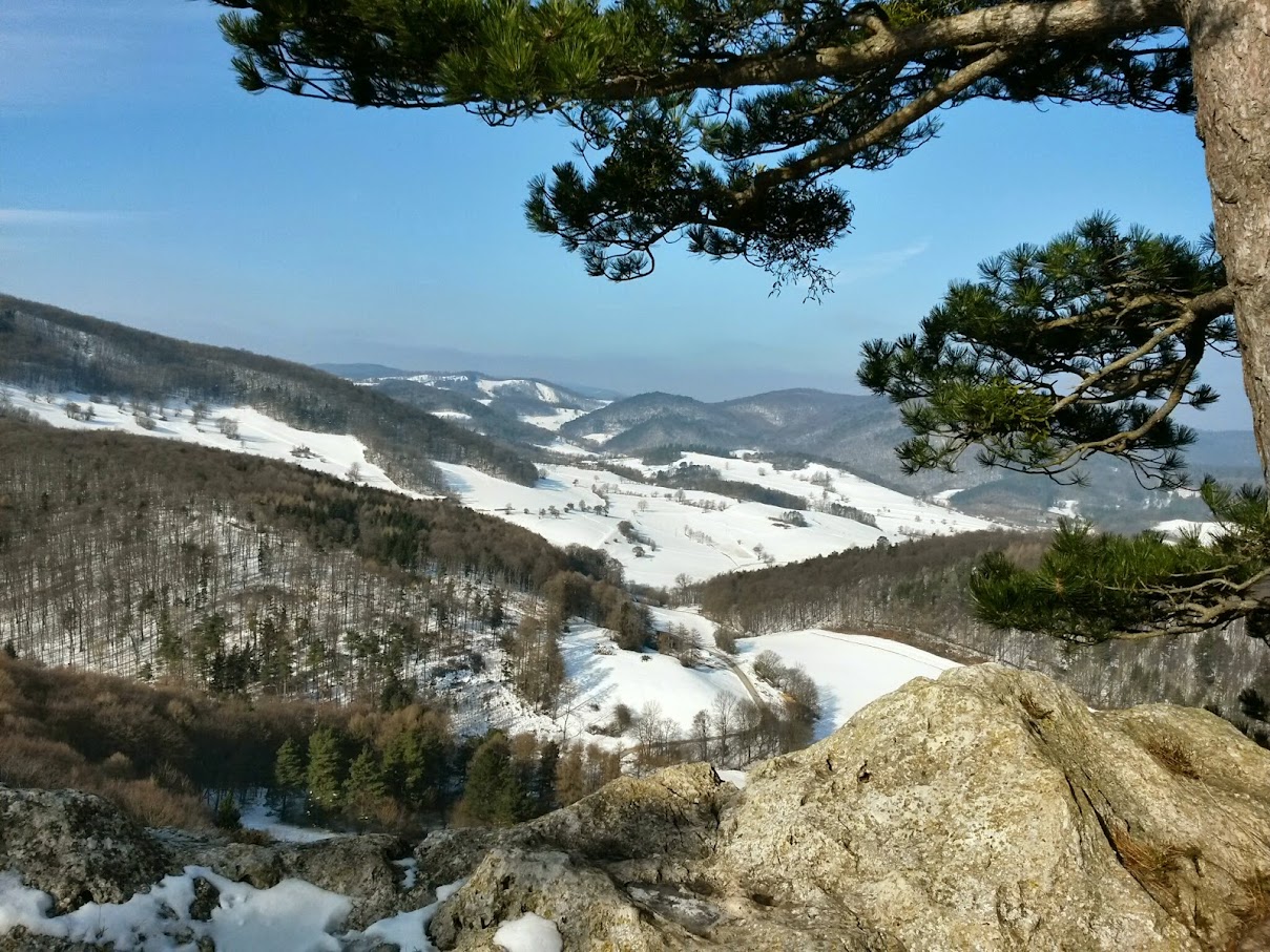 lh4.googleusercontent.com_-t25nepqydcm_vnywfw2vafi_aaaaaaaahsk_q0stediyuue_w1209-h907-no_20150207_111102_richtone_28hdr_29.jpg lh4.googleusercontent.com_-t25nepqydcm_vnywfw2vafi_aaaaaaaahsk_q0stediyuue_w1209-h907-no_20150207_111102_richtone_28hdr_29.jpg