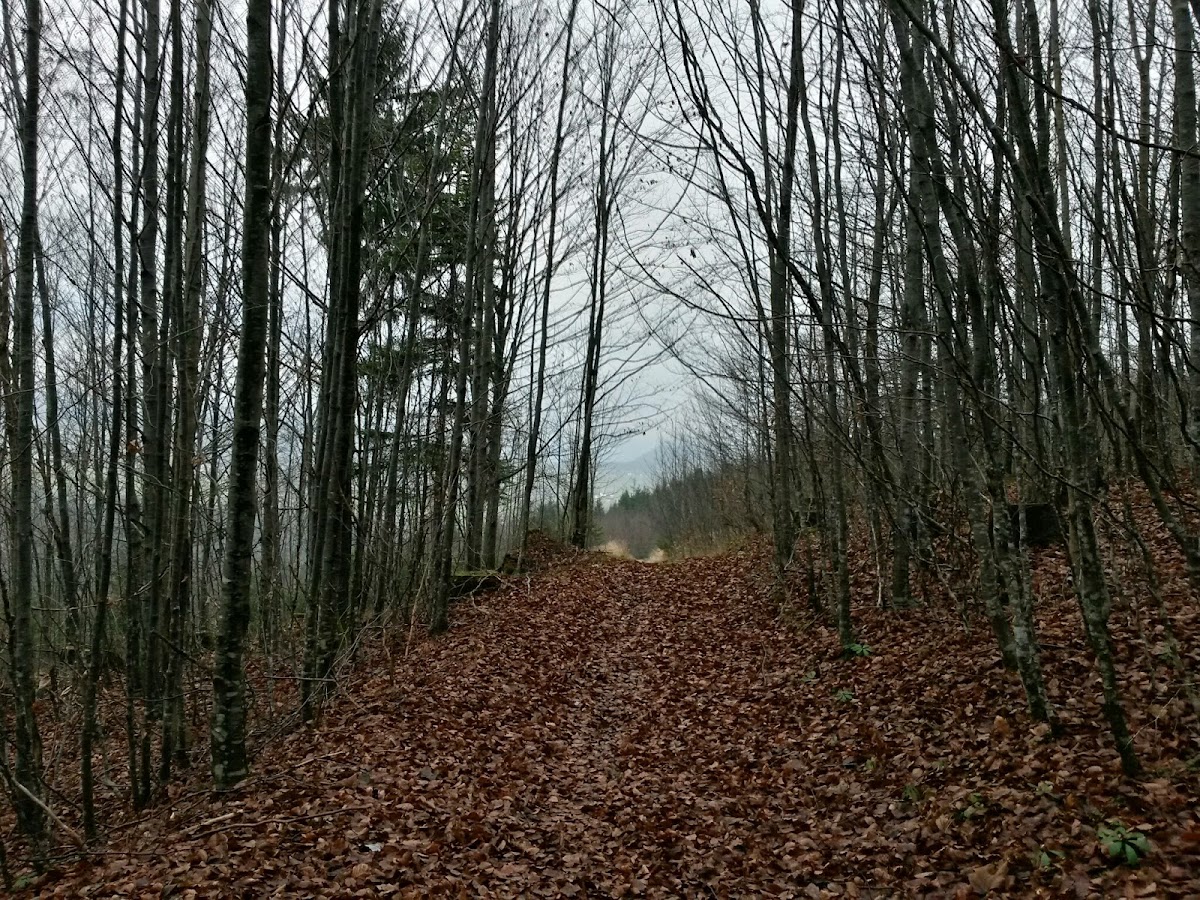 lh4.googleusercontent.com_-o7tabz-yzew_vhsckhocioi_aaaaaaaafug_bqu0s3jkxdc_w1200-h900-no_20141125_144931_richtone_28hdr_29.jpg lh4.googleusercontent.com_-o7tabz-yzew_vhsckhocioi_aaaaaaaafug_bqu0s3jkxdc_w1200-h900-no_20141125_144931_richtone_28hdr_29.jpg