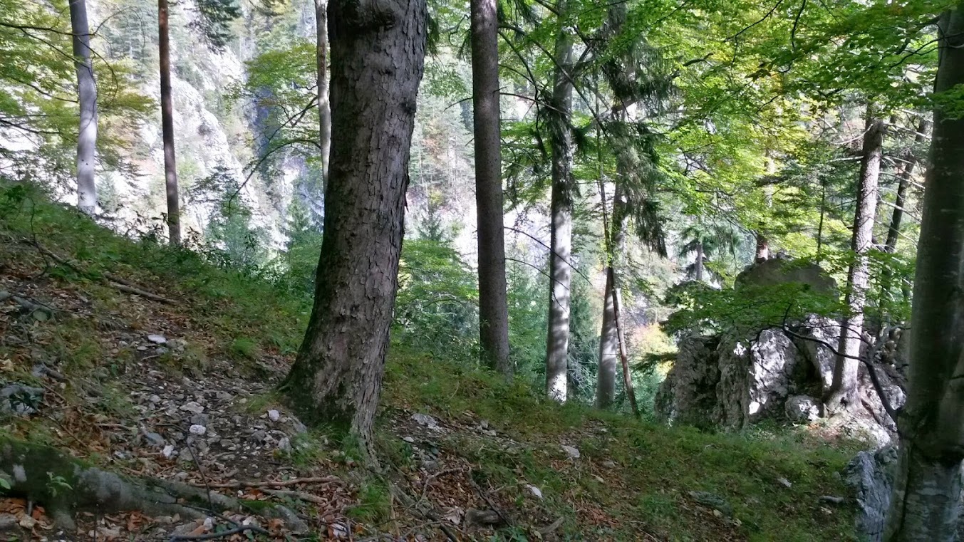 lh4.googleusercontent.com_-jpqdv1a-bu0_ulagfquraii_aaaaaaaaq8a_uqh2hdyu0z4_w1353-h761-no_20131005_141453_richtone_2528hdr_2529.jpg lh4.googleusercontent.com_-jpqdv1a-bu0_ulagfquraii_aaaaaaaaq8a_uqh2hdyu0z4_w1353-h761-no_20131005_141453_richtone_2528hdr_2529.jpg