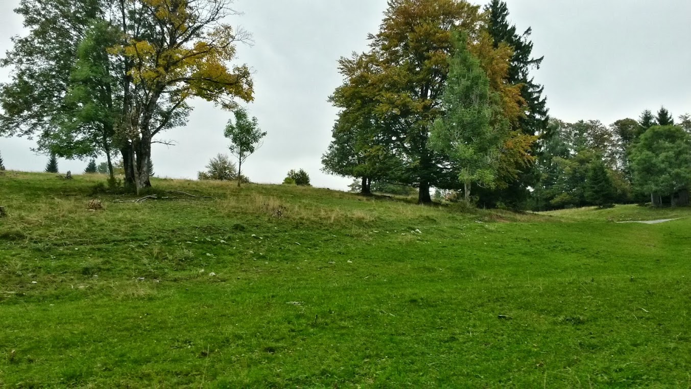 lh5.googleusercontent.com_-fipcozxq4ga_ukgkhf0_u_i_aaaaaaaaqti_q4x4bvz1zkw_w1353-h761-no_20130929_102053_richtone_2528hdr_2529.jpg lh5.googleusercontent.com_-fipcozxq4ga_ukgkhf0_u_i_aaaaaaaaqti_q4x4bvz1zkw_w1353-h761-no_20130929_102053_richtone_2528hdr_2529.jpg