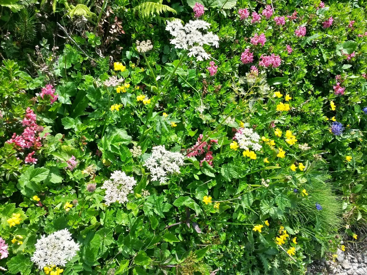 lh3.googleusercontent.com_-oxsdrty4bno_u8qdrz0xbgi_aaaaaaaabru_b4rxjttwcda_w1228-h921-no_20140719_131030_richtone_2528hdr_2529.jpg lh3.googleusercontent.com_-oxsdrty4bno_u8qdrz0xbgi_aaaaaaaabru_b4rxjttwcda_w1228-h921-no_20140719_131030_richtone_2528hdr_2529.jpg