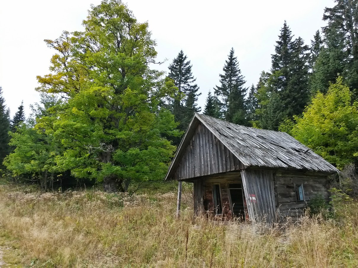 lh4.googleusercontent.com_-t5ympsdsq3a_vg_zhslhhbi_aaaaaaaaokg_vaqihfhikjy_w1209-h907-no_20151003_114319_richtone_2528hdr_2529.jpg lh4.googleusercontent.com_-t5ympsdsq3a_vg_zhslhhbi_aaaaaaaaokg_vaqihfhikjy_w1209-h907-no_20151003_114319_richtone_2528hdr_2529.jpg