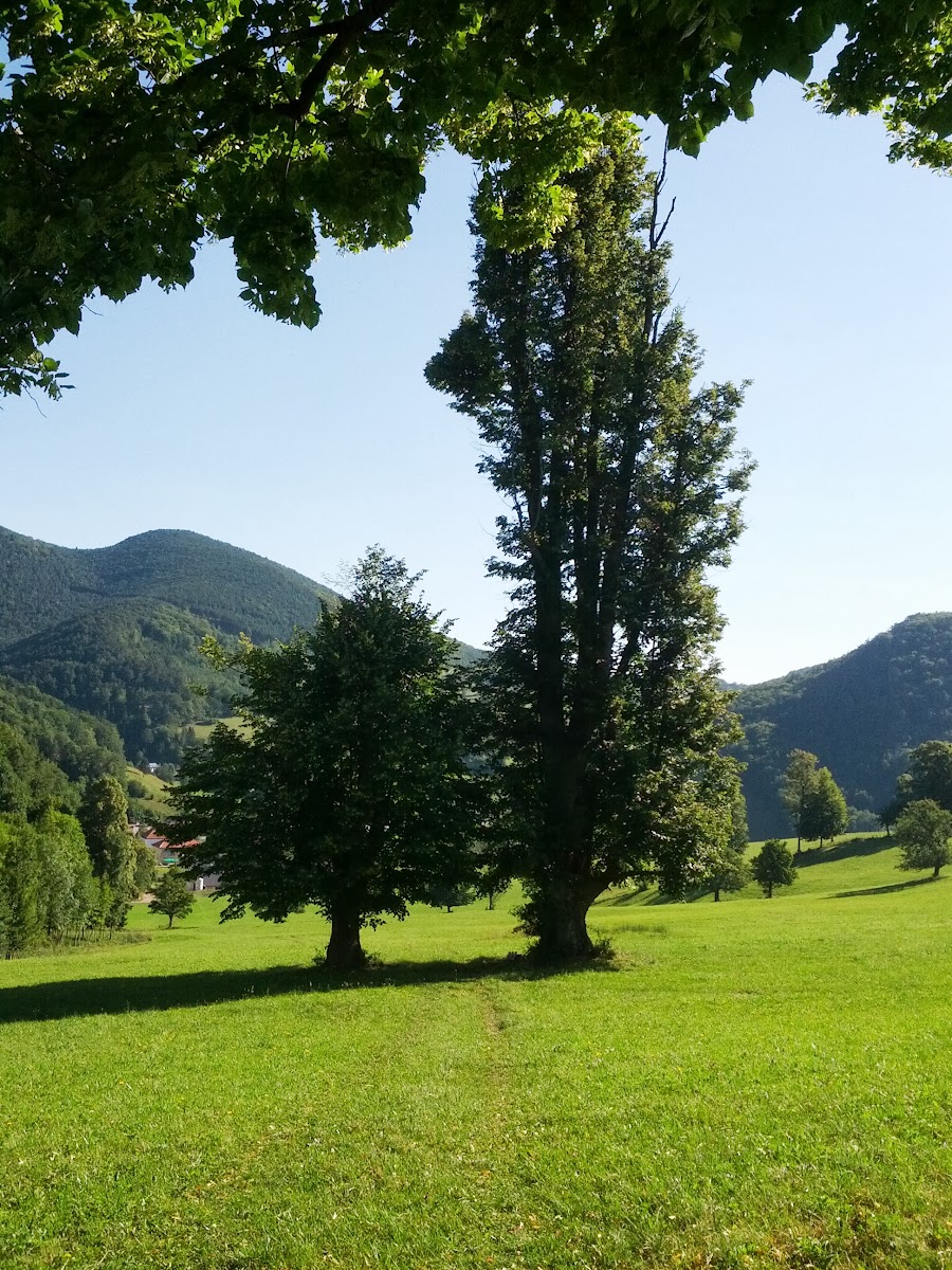 lh6.googleusercontent.com_-8td0kfney8u_ueu90dxpadi_aaaaaaaaomw_fr8k-0tsxda_w900-h1200-no_img_20130721_084509.jpg lh6.googleusercontent.com_-8td0kfney8u_ueu90dxpadi_aaaaaaaaomw_fr8k-0tsxda_w900-h1200-no_img_20130721_084509.jpg