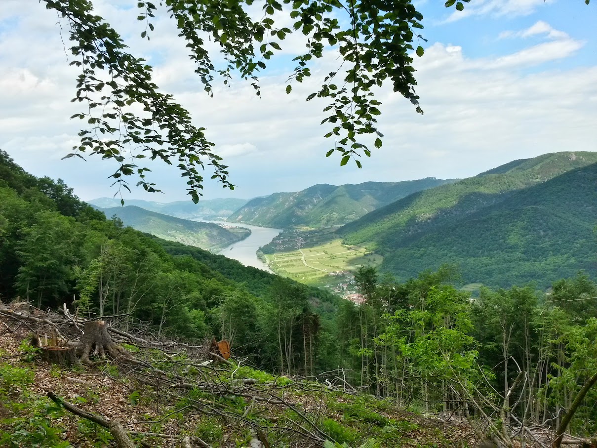 lh4.googleusercontent.com_-kkedowb41ku_vvst26kjxzi_aaaaaaaajdo_yivrkqjxq1c_w1209-h907-no_20150514_142721_richtone_2528hdr_2529.jpg lh4.googleusercontent.com_-kkedowb41ku_vvst26kjxzi_aaaaaaaajdo_yivrkqjxq1c_w1209-h907-no_20150514_142721_richtone_2528hdr_2529.jpg