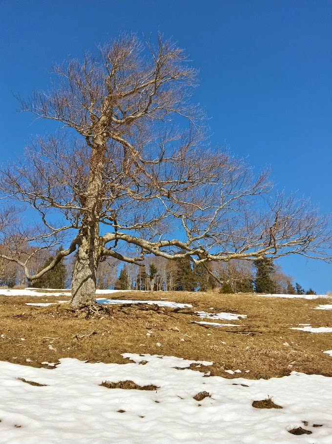 lh4.googleusercontent.com_-bqrxldqqxrk_voiiysg_oei_aaaaaaaahgk_9irlhemip6k_w680-h907-no_20150221_112450_richtone_28hdr_29.jpg lh4.googleusercontent.com_-bqrxldqqxrk_voiiysg_oei_aaaaaaaahgk_9irlhemip6k_w680-h907-no_20150221_112450_richtone_28hdr_29.jpg