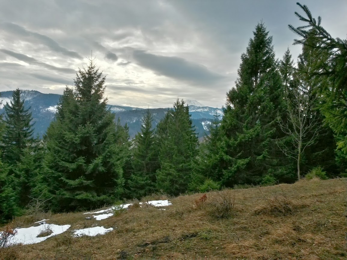 lh6.googleusercontent.com_-bshg-is7vmk_uslvllmkiei_aaaaaaaausi_bvwuqqvy3de_w1155-h866-no_20131231_123144_richtone_2528hdr_2529.jpg lh6.googleusercontent.com_-bshg-is7vmk_uslvllmkiei_aaaaaaaausi_bvwuqqvy3de_w1155-h866-no_20131231_123144_richtone_2528hdr_2529.jpg