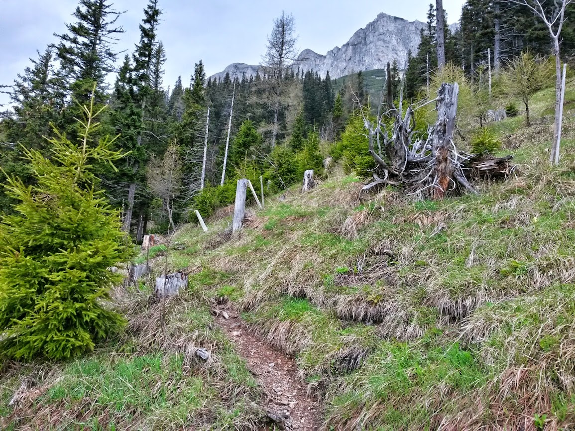 lh3.googleusercontent.com_-sft7w3fnnyg_u2i9mtkjvfi_aaaaaaaaxni_w9w2ozjvxcc_w1155-h866-no_20140501_085503_richtone_2528hdr_2529.jpg lh3.googleusercontent.com_-sft7w3fnnyg_u2i9mtkjvfi_aaaaaaaaxni_w9w2ozjvxcc_w1155-h866-no_20140501_085503_richtone_2528hdr_2529.jpg