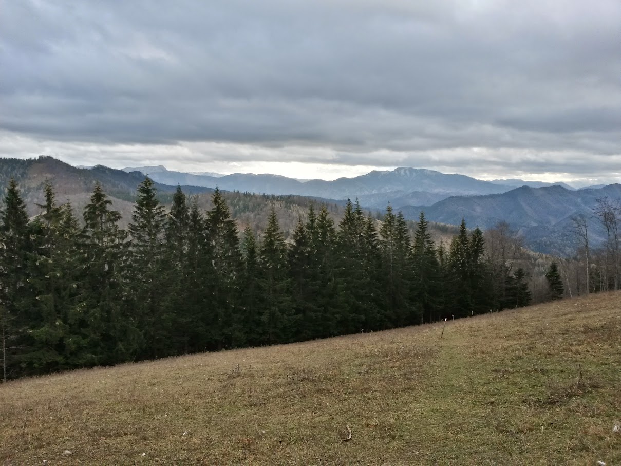 lh6.googleusercontent.com_-h12_qgs_xiu_vkdz-qrelmi_aaaaaaaapco_ioqqnyspg-8_w1209-h907-no_20151114_132603_richtone_2528hdr_2529.jpg lh6.googleusercontent.com_-h12_qgs_xiu_vkdz-qrelmi_aaaaaaaapco_ioqqnyspg-8_w1209-h907-no_20151114_132603_richtone_2528hdr_2529.jpg