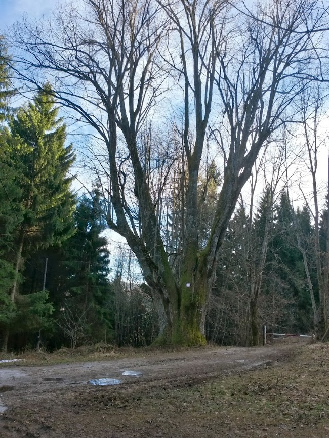 lh4.googleusercontent.com_-sqq_eqflxki_ur7pfo7hzri_aaaaaaaaul4_rc6f28rkuji_w650-h866-no_20131228_133653_richtone_2528hdr_2529.jpg lh4.googleusercontent.com_-sqq_eqflxki_ur7pfo7hzri_aaaaaaaaul4_rc6f28rkuji_w650-h866-no_20131228_133653_richtone_2528hdr_2529.jpg