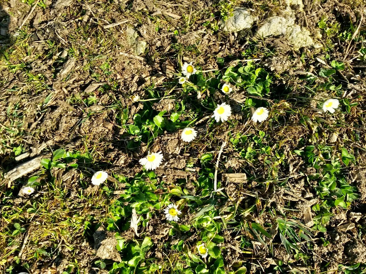 lh5.googleusercontent.com_-kzmgiwrzqeq_vhdpnxzlgpi_aaaaaaaafga_s5kf5qnuonk_w1200-h900-no_20141127_100416_richtone_28hdr_29.jpg lh5.googleusercontent.com_-kzmgiwrzqeq_vhdpnxzlgpi_aaaaaaaafga_s5kf5qnuonk_w1200-h900-no_20141127_100416_richtone_28hdr_29.jpg