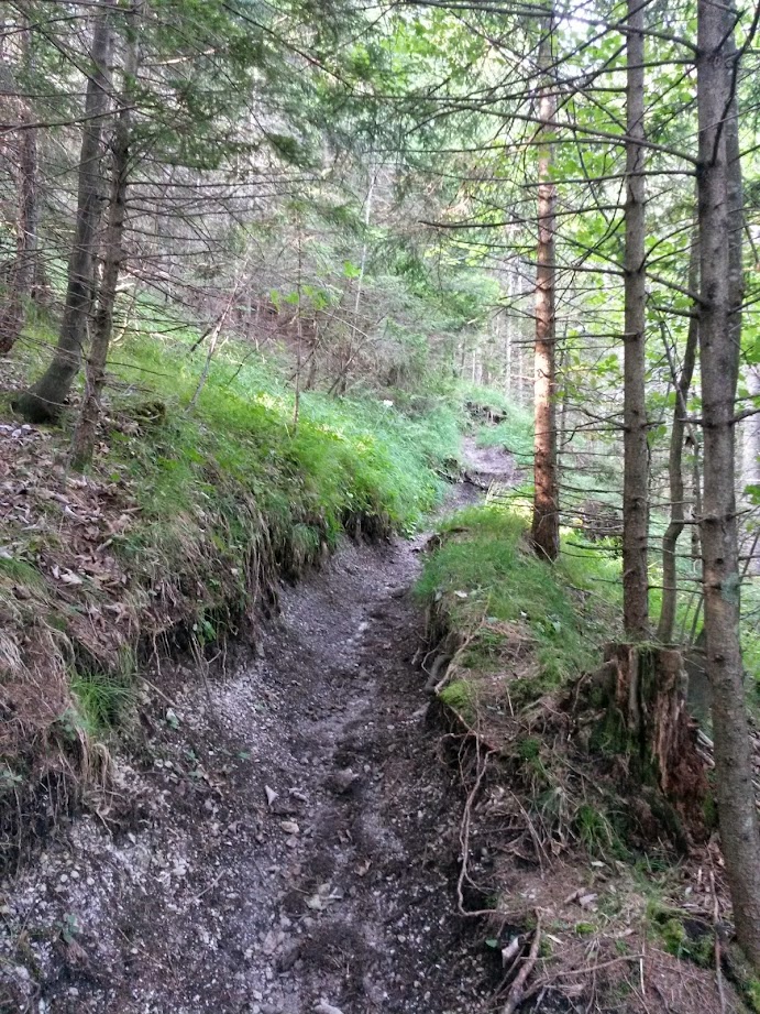 lh3.googleusercontent.com_-bthtqexsw1g_u9ozlriweci_aaaaaaaabvc_kd2qynn3vc_w691-h921-no_20140726_081010_richtone_2528hdr_2529.jpg lh3.googleusercontent.com_-bthtqexsw1g_u9ozlriweci_aaaaaaaabvc_kd2qynn3vc_w691-h921-no_20140726_081010_richtone_2528hdr_2529.jpg