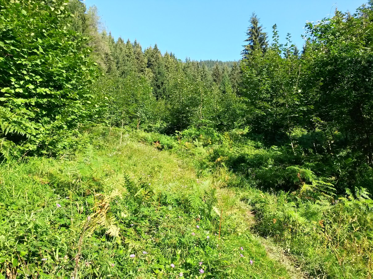 lh6.googleusercontent.com_-oc403rkchse_vdiwjgrcfdi_aaaaaaaanf0_hn6patsvjao_w1209-h907-no_20150822_083849_richtone_2528hdr_2529.jpg lh6.googleusercontent.com_-oc403rkchse_vdiwjgrcfdi_aaaaaaaanf0_hn6patsvjao_w1209-h907-no_20150822_083849_richtone_2528hdr_2529.jpg