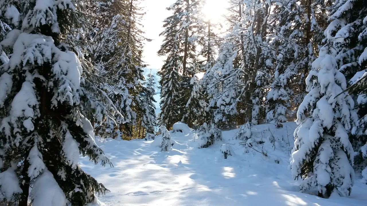 lh4.googleusercontent.com_-t_c65z-pxnq_up3nnmzjaei_aaaaaaaas9m_isverqyhfgc_w1280-h720-no_20131203_110206.jpg lh4.googleusercontent.com_-t_c65z-pxnq_up3nnmzjaei_aaaaaaaas9m_isverqyhfgc_w1280-h720-no_20131203_110206.jpg