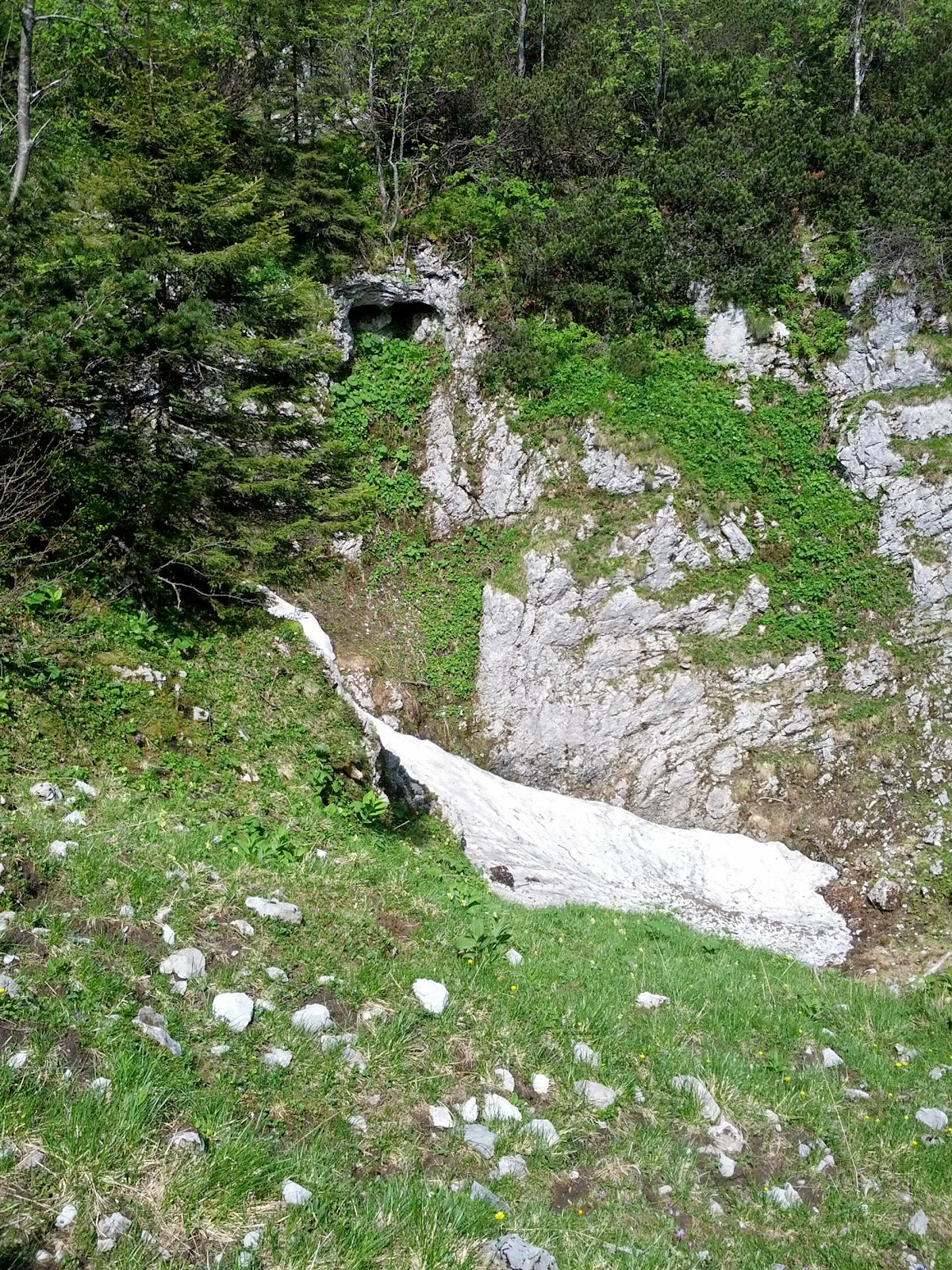 lh6.googleusercontent.com_-hookosnx28q_ubx6gqkvqti_aaaaaaaanr4_2ure1ghc6-m_w1200-h1600-no_img_20130615_103621.jpg lh6.googleusercontent.com_-hookosnx28q_ubx6gqkvqti_aaaaaaaanr4_2ure1ghc6-m_w1200-h1600-no_img_20130615_103621.jpg