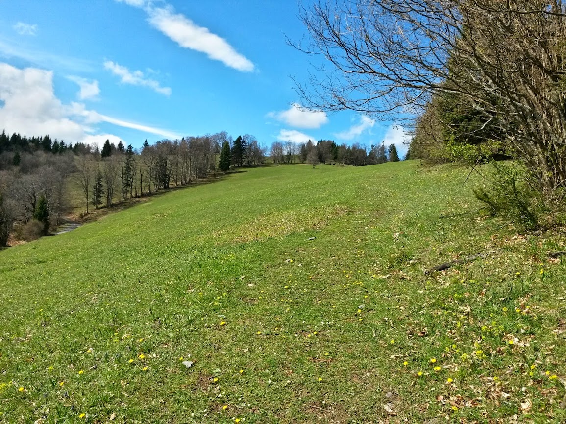 lh3.googleusercontent.com_-8ee_1q8x78i_u1vxqxzpdfi_aaaaaaaaw9c_1zxxunr5pxk_w1155-h866-no_20140421_104746_richtone_2528hdr_2529.jpg lh3.googleusercontent.com_-8ee_1q8x78i_u1vxqxzpdfi_aaaaaaaaw9c_1zxxunr5pxk_w1155-h866-no_20140421_104746_richtone_2528hdr_2529.jpg