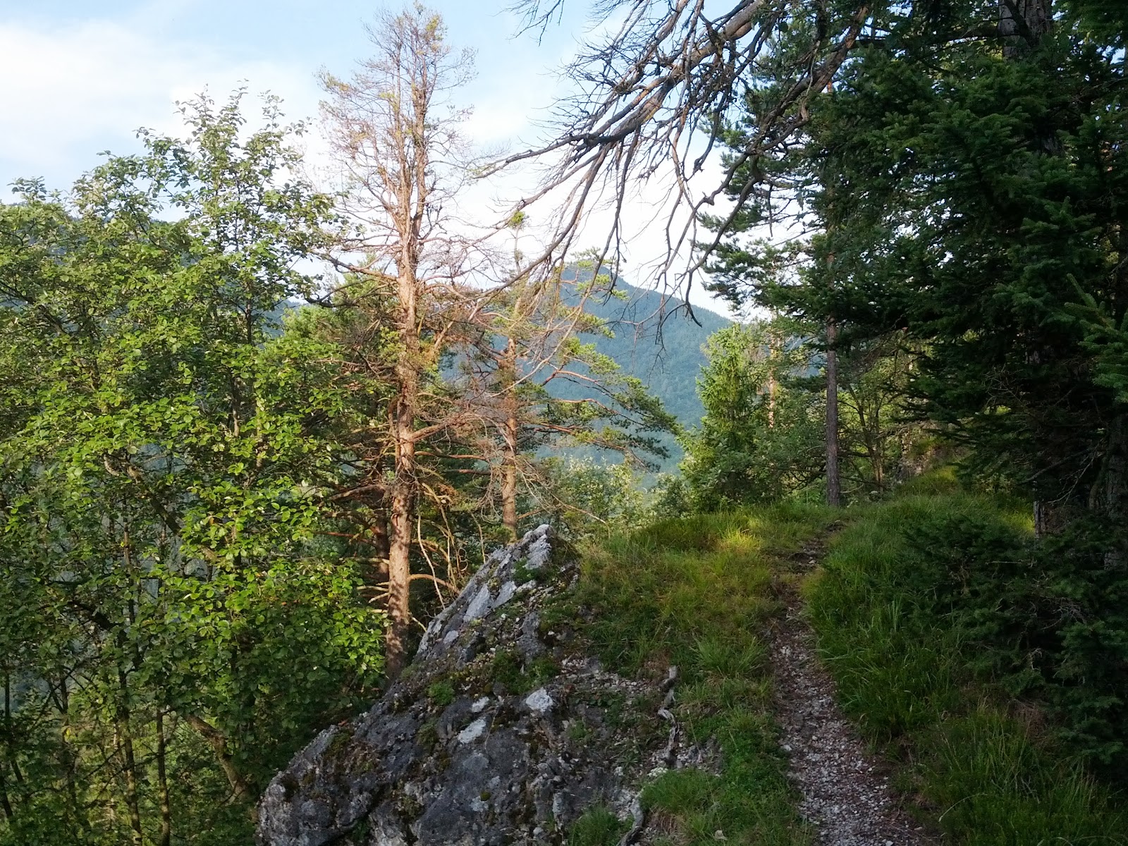 lh3.googleusercontent.com_--em6ppbz9dy_uequznfqg6i_aaaaaaaaod8_q7hmf0gtf2u_w1600-h1200-no_img_20130720_071918.jpg lh3.googleusercontent.com_--em6ppbz9dy_uequznfqg6i_aaaaaaaaod8_q7hmf0gtf2u_w1600-h1200-no_img_20130720_071918.jpg