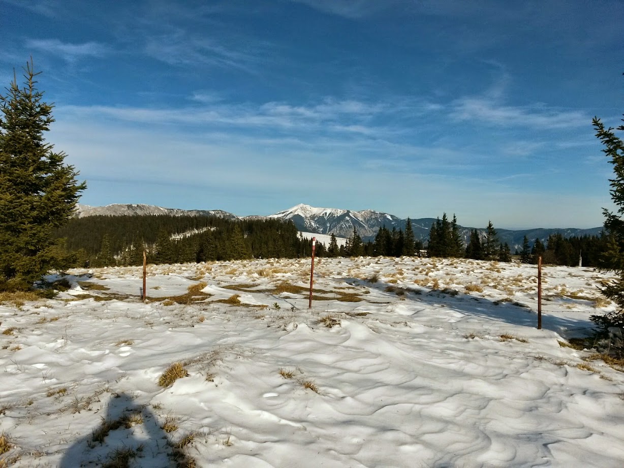 lh6.googleusercontent.com_-x1ok5yovu8k_vixvg0s2eyi_aaaaaaaaf2e_rkviuvf6-78_w1228-h921-no_20141213_114416_richtone_28hdr_29.jpg lh6.googleusercontent.com_-x1ok5yovu8k_vixvg0s2eyi_aaaaaaaaf2e_rkviuvf6-78_w1228-h921-no_20141213_114416_richtone_28hdr_29.jpg