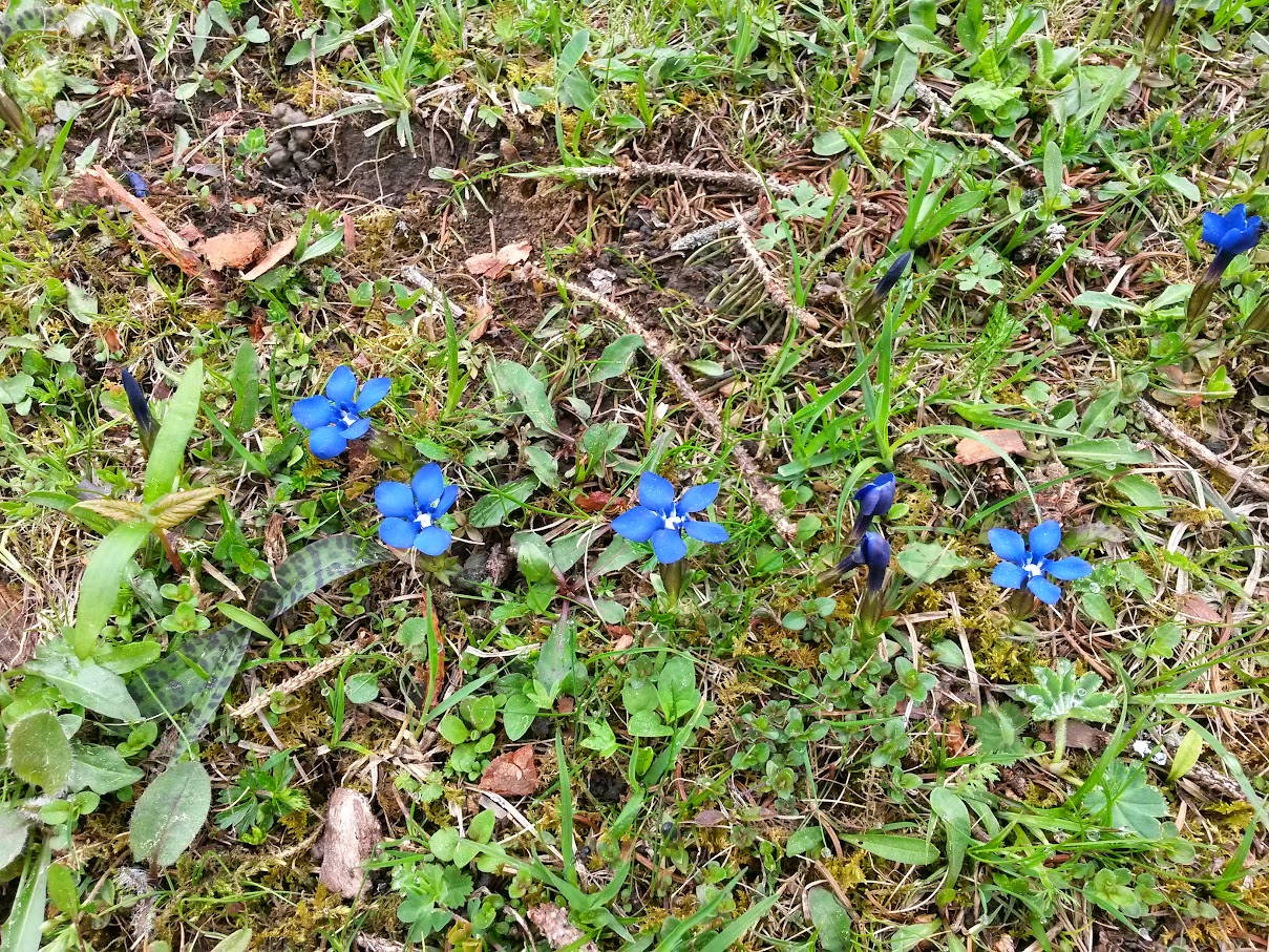 lh6.googleusercontent.com_-yh7cqe-ukfq_vvdayldj1ci_aaaaaaaajhk_99nckzbl9cu_w1209-h907-no_20150516_105533_richtone_2528hdr_2529.jpg lh6.googleusercontent.com_-yh7cqe-ukfq_vvdayldj1ci_aaaaaaaajhk_99nckzbl9cu_w1209-h907-no_20150516_105533_richtone_2528hdr_2529.jpg