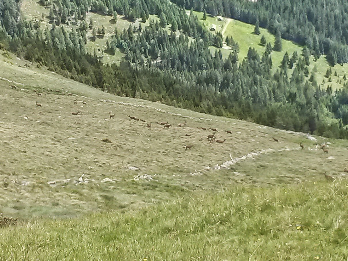 lh4.googleusercontent.com_-q5nr3uzotrc_vywkoavejwi_aaaaaaaamtk_qfptvz_hyj0_w1209-h907-no_20150625_145224_richtone_2528hdr_2529.jpg lh4.googleusercontent.com_-q5nr3uzotrc_vywkoavejwi_aaaaaaaamtk_qfptvz_hyj0_w1209-h907-no_20150625_145224_richtone_2528hdr_2529.jpg