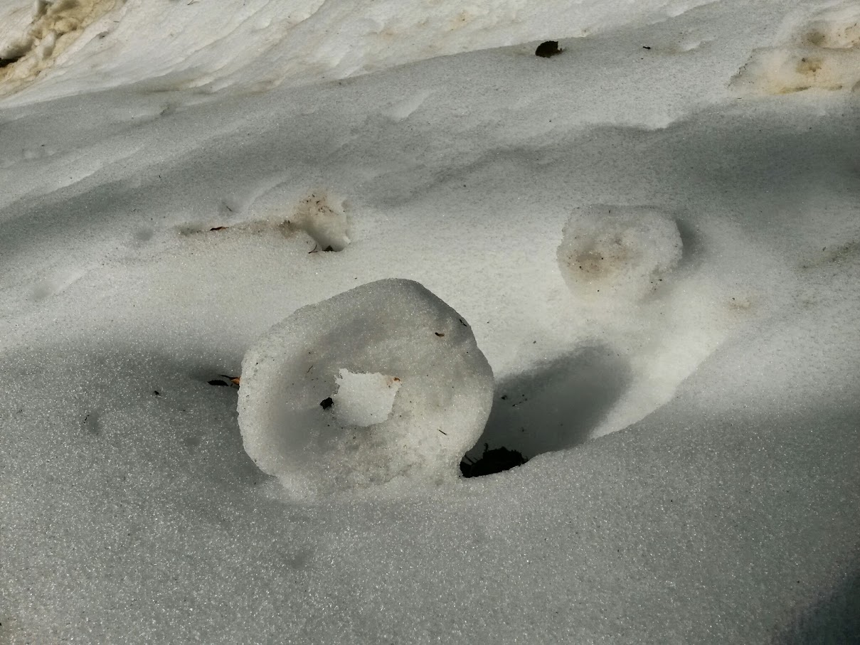 lh5.googleusercontent.com_-34qr3htidlu_vn9n_szg1ji_aaaaaaaahcc_zlynajlowei_w1209-h907-no_20150214_134744_richtone_28hdr_29.jpg lh5.googleusercontent.com_-34qr3htidlu_vn9n_szg1ji_aaaaaaaahcc_zlynajlowei_w1209-h907-no_20150214_134744_richtone_28hdr_29.jpg